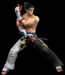 http://www.jun-shrine.com/characters/body/jin_kazama.jpg